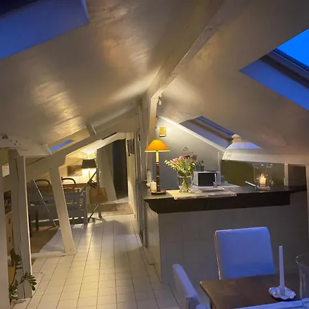 Duplex Avec Vue Sur Les Toits De Expo Porte De Versailles Parigi