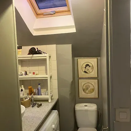 Duplex Avec Vue Sur Les Toits De Expo Porte De Versailles Appartamento Parigi