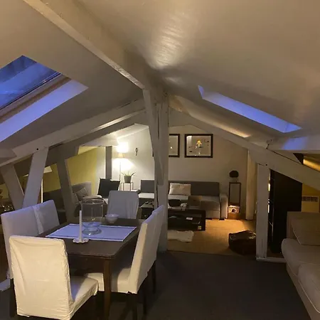 Appartamento Duplex Avec Vue Sur Les Toits De Expo Porte De Versailles *