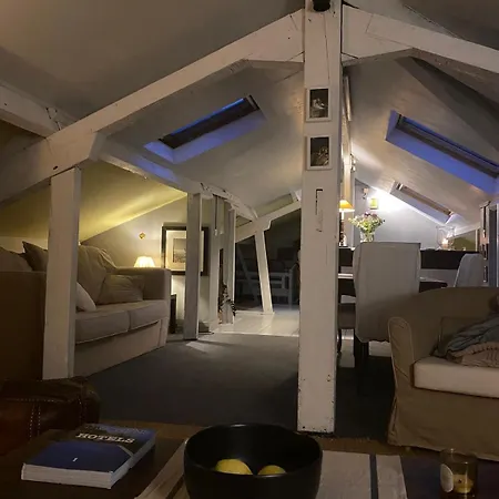 Duplex Avec Vue Sur Les Toits De Expo Porte De Versailles Parigi