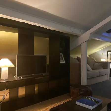Duplex Avec Vue Sur Les Toits De Expo Porte De Versailles Parigi