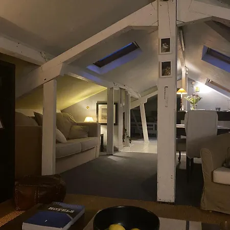 Duplex Avec Vue Sur Les Toits De Expo Porte De Versailles * Parigi
