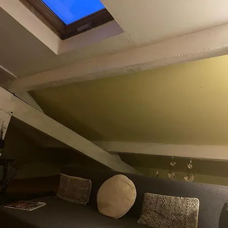 Duplex Avec Vue Sur Les Toits De Expo Porte De Versailles *